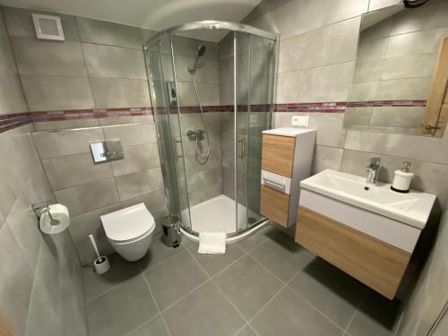 a bathroom with a shower and a toilet and a sink at Residence Dymokury in Dymokury