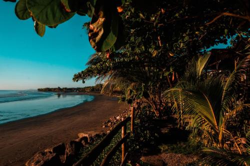 a beach with a fence and a tree and the ocean at El Marabu Chill'n Surf in Aposentillo