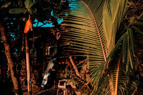 a large palm tree next to a building at El Marabu Chill'n Surf in Aposentillo