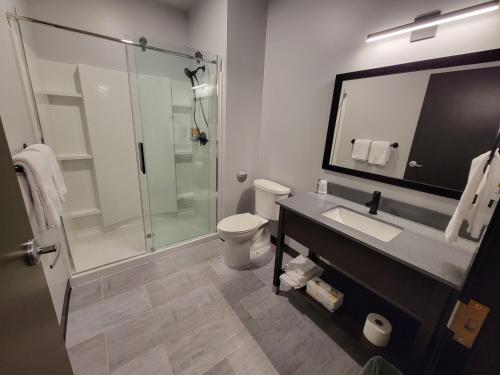y baño con aseo, lavabo y ducha. en Watershed Hotel, en Sheboygan