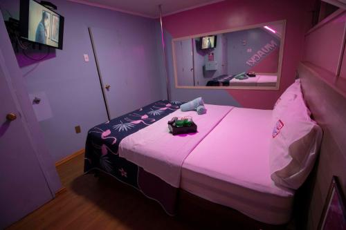 a purple room with a bed with a mirror at Motel ruta slavic in Punta Arenas
