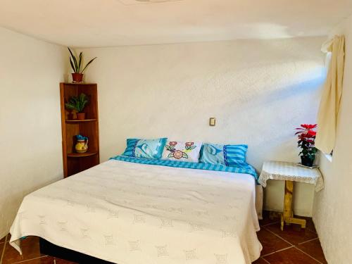 Fotografie z fotogalerie ubytování Casa Rústica v destinaci Atlixco