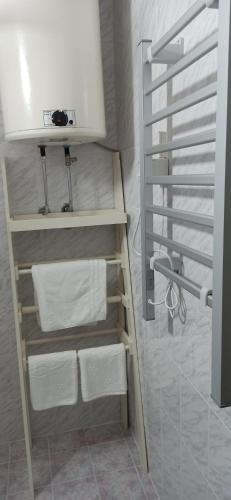 a bathroom with white towels on a shelf at Apartman Nina, Kopaonik, Brzeće, Kod Gondole in Brzeće