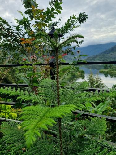 Landskap semula jadi dekat dengan homestay