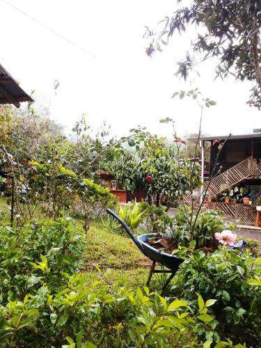 Lodge él Savegre Providencia – Photos 4