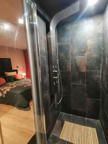 - une douche dans une chambre avec un lit dans l'établissement Le Paul Chandon Centre-ville 4 pers, à Épernay