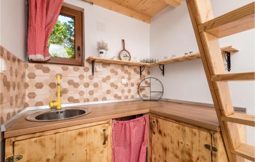 una cocina con fregadero en una casa pequeña en Nice Home In Gospic With Wifi, en Gospić