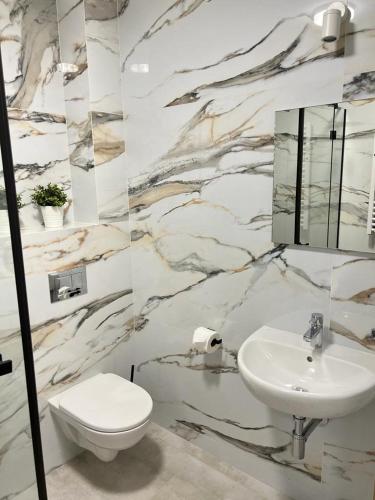 a bathroom with a sink and a toilet at Apartamenty Polna 60 in Żory
