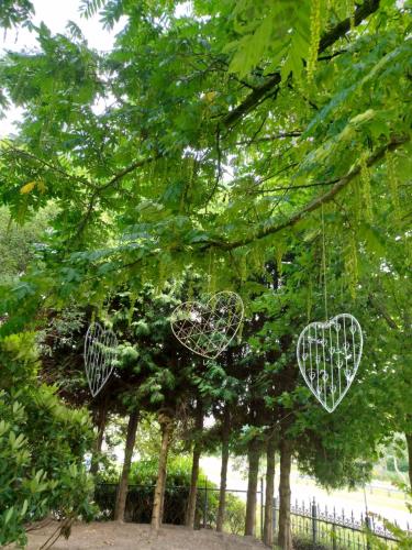 three white hearts are hanging from a tree at Logies De Houtdijk in Harich