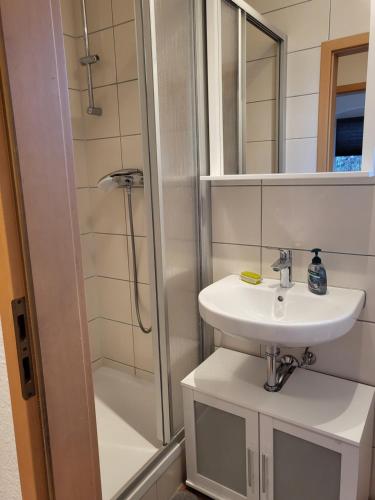 a bathroom with a sink and a shower at Exklusievwohnung Weißenfels in Weißenfels