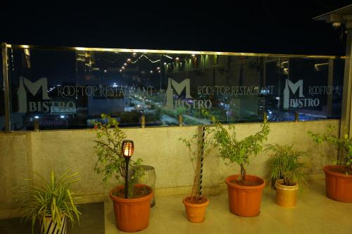 a group of potted plants in pots on a wall at Hotel Maruthi Inn in Nirmal