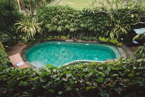 Swimmingpoolen hos eller tæt på Dwaraloka Retreat Ubud
