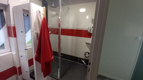 La salle de bains est pourvue d'une douche en verre et d'une serviette rouge. dans l'établissement Chambre privée, au Bugue