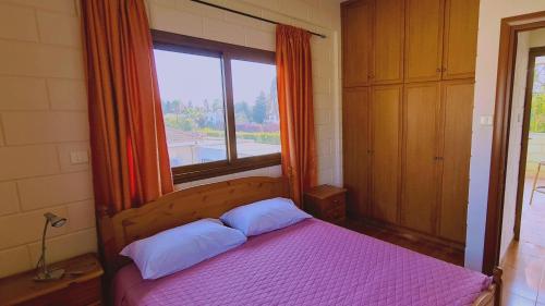 ein Schlafzimmer mit einem lila Bett und einem Fenster in der Unterkunft STAY Pernera House in Ayia Napa