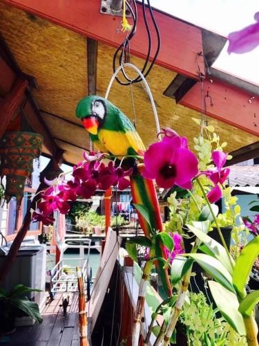 a bird is sitting on some purple flowers at Sea House Koh Chang in Ko Chang