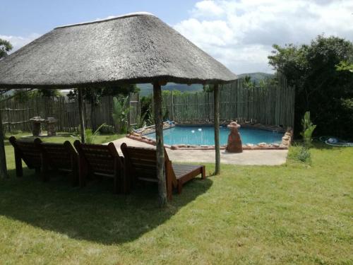 einen Regenschirm und Bänke in einem Hof mit Pool in der Unterkunft Ngwenkala Game Lodge and Safaris in Komga