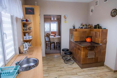 cocina con fregadero y encimera en una habitación en Beskidzki Klimat Jaśliska, en Jaśliska