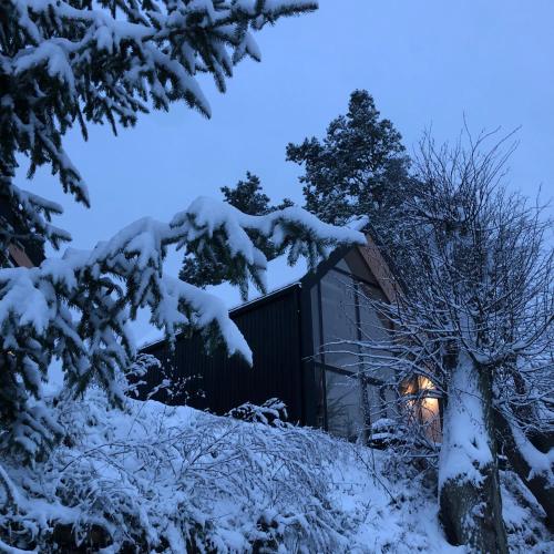 a cabin in the snow at night at Czarne Domki in Zwierzyniec