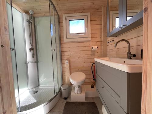 a bathroom with a shower and a toilet and a sink at Hausboot Janne Lübeck Inclusive Kanu nach Verfügbarkeit SUP und WLAN 50 MBit s Flat in Lübeck