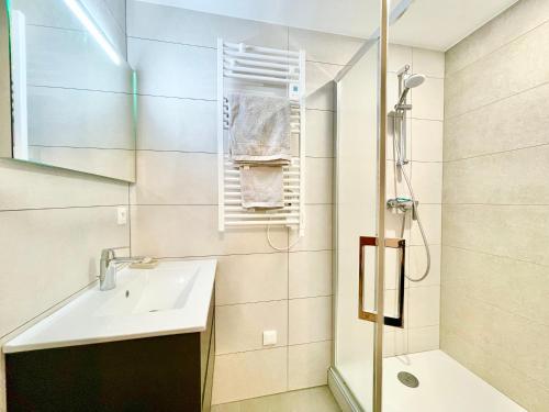 een badkamer met een wastafel en een douche bij Colmar - Parking Gratuit - Le Nichoir - Centre historique - Wifi in Colmar
