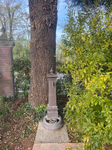 a statue next to a tree next to a tree at Rio Sabbioso in Dozza
