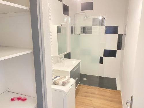 a white bathroom with a sink and a toilet at Le Sarcoui - Appartement tout confort proche de la Gare in Clermont-Ferrand