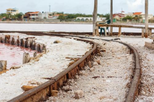 a set of train tracks with snow on them at Sava Salinas in Las Salinas