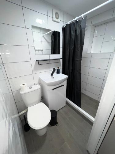 a white bathroom with a toilet and a shower at Newly renovated 1 bedroom flat with garden pergola in Ennis