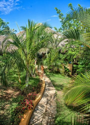 Gallery image of Eco Casa Algana in El Limón