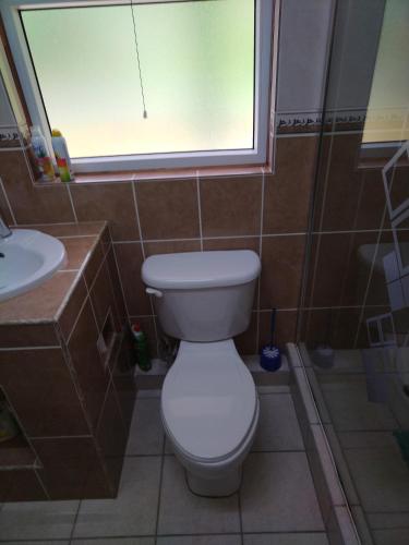 a bathroom with a toilet and a sink and a window at Trois Piton Apartments in Pont Cassé
