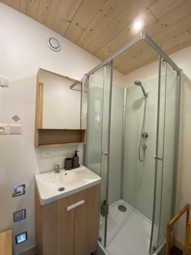 a bathroom with a sink and a shower at Homnest Morvand'Ailes - Cocon immersif en Morvan in Saulieu