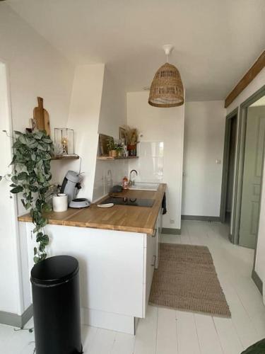 une cuisine avec un évier et un plan de travail dans l'établissement Appartement cosy et lumineux au cœur de Montreuil, à Montreuil-sur-Mer
