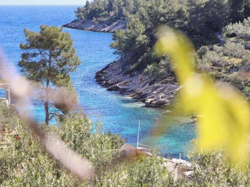 Fotografie z fotogalerie ubytování Holiday House Parive v destinaci Vela Luka