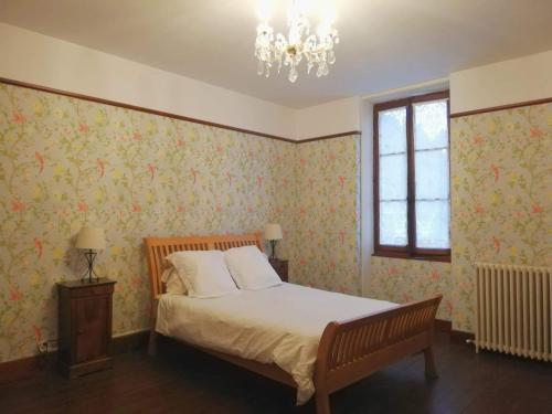 Salies-du-Salat的住宿－Château l'Argelès，一间卧室配有一张带花卉壁纸和吊灯的床。