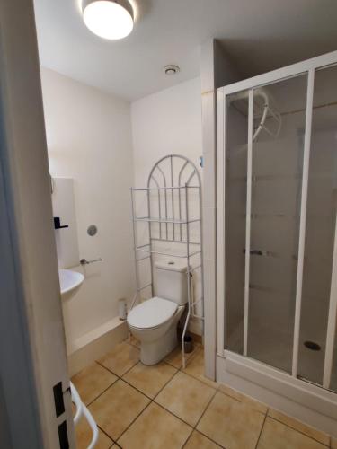une salle de bain avec toilettes et douche en verre dans l'établissement Appartement spacieux 2 pièces , climatisé, Wifi, 2 à 4 couchages PORTIRAGNES PLAGE LXCS176, à Portiragnes
