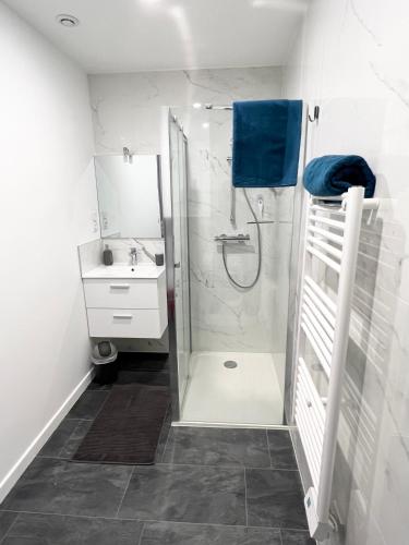 a bathroom with a shower and a sink at Le Musée 2, Industriel 2 pièces in Bergerac