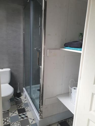 une salle de bain avec douche et toilettes dans l'établissement Dépendance au 1er étage d 'une jolie fermette., à Mignères