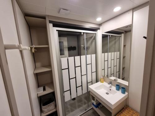 a bathroom with a sink and a shower and a mirror at La cabane 27 ~ Chalet cosy au bord du lac de Peyre in Labouheyre