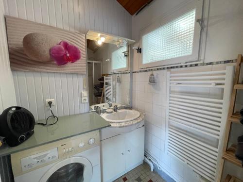 une salle de bain avec une machine à laver et un lavabo dans l'établissement L'Ecureuil, à Mimizan
