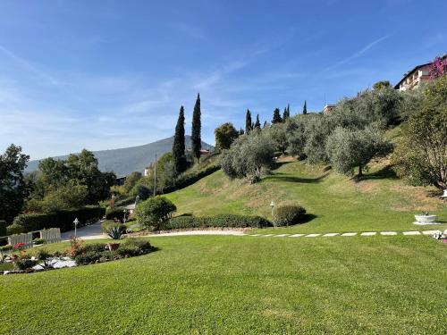 a lush green hill with trees and a road at CHALET VELA Natura e Relax in Gavardo