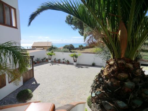 a palm tree sitting on the side of a house at Mediterraneo Mare e Sole in Marina di Palma