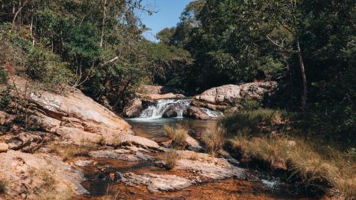 a creek with a waterfall in the middle of a forest at Terra Booma in Alto Paraíso de Goiás