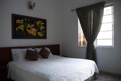 Un pat sau paturi într-o cameră la Hotel Bella Montaña