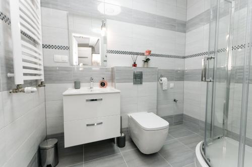 uma casa de banho com um WC, um lavatório e um chuveiro em APARTAMENT KARO 2 Karkonosze em Jelenia Góra