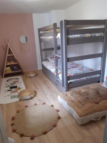 Cette chambre comprend 2 lits superposés et du parquet. dans l'établissement Maison de ville Sélestat centre, à Sélestat