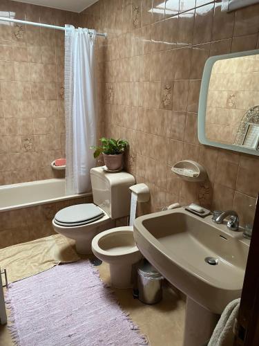 a bathroom with a toilet and a sink and a mirror at CASA DEL ARROYO in Pontevedra