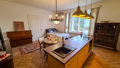 a living room with a kitchen with a table and a couch at GOLDIE in Zagreb