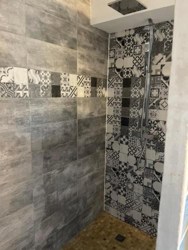 een badkamer met een douche en mozaïektegels aan de muur bij Propriétaire privé in Carcassonne