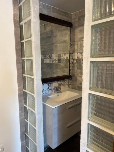 een badkamer met een wastafel en een spiegel bij Propriétaire privé in Carcassonne