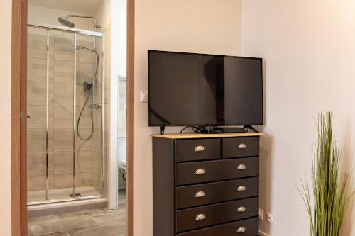 - une télévision au-dessus d'une commode dans la salle de bains dans l'établissement Studio Ingres au coeur historique de Montauban, à Montauban